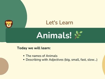 Animals & Adjectives Lesson