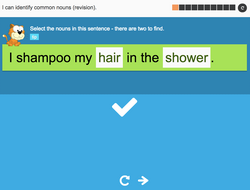 I can identify common nouns (revision) - Interactive Activity - Year 3 Spag