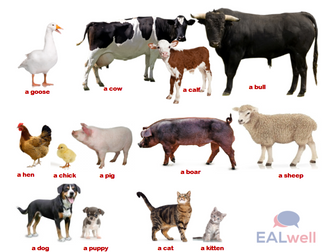 EAL - ANIMAL FARM picture dictionary