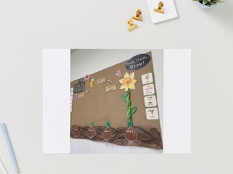 Ready, Steady… Grow - Knowledge Organiser