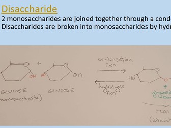 AS Biology - Organic Chem Intro + Carbohydrates