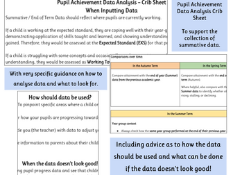 Summative Data Assessment Analysis Cribsheet (Primary)