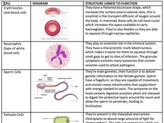A-Level Biology Specialised Cells Table