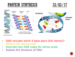 Protein synthesis (transcription/translation) - complete lesson (GCSE 1 ...