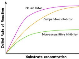 Analogy: Effect of Non-Competitive and Competitive Inhibitors on the Rate of Reaction