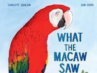 Year 5 What the Macaw Saw