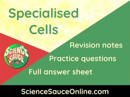 Specialised Cells