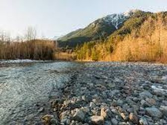 Pebble in my pocket guided reading