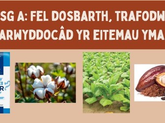 Cyflwyniad i Gaethwasiaeth