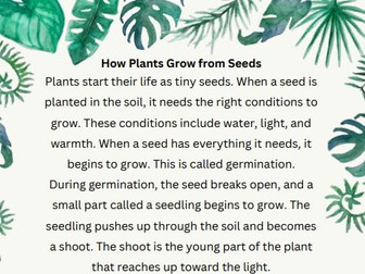 How Plants Grow From Seeds Science Reading