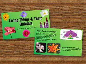Year 5 Living Things & their Habitats Lesson 6 - Parts of a Flower