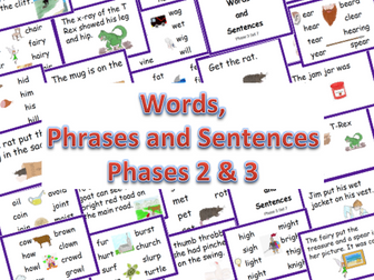 Phase 2 and 3 Words, Phrases and Sentence Booklets.