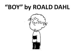Boy by Roald Dahl