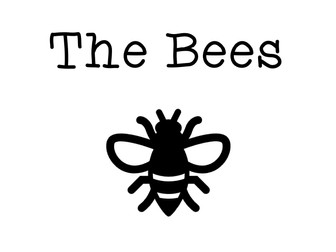 Language Paper 1 - The Bees