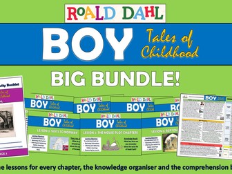 Boy - Roald Dahl - Big Bundle!
