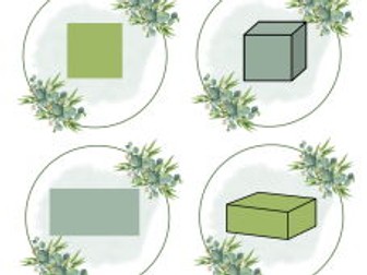 Botanical themed 2D/3D shape disks - KS1 and KS2