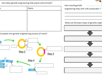 GCSE Biology Paper 2 Revision 8x Worksheets/Powerpoints