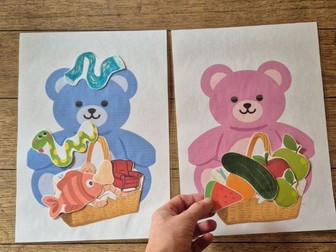Teddy Bears Picnic - Speech & Language/ Multi level SEN sorting game. EYFS