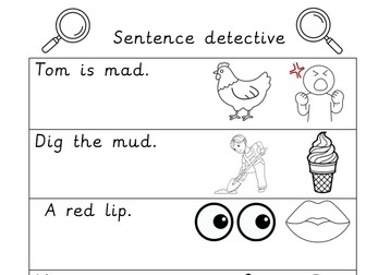 Sentence Detective