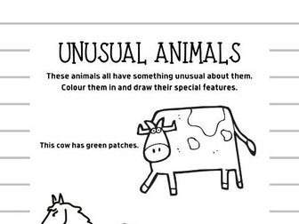 Unusual Animals