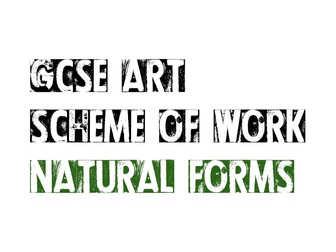 GCSE ART NATURAL FORMS SCHEME OF WORK