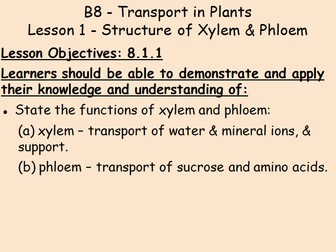 B8 Plant Transport IGCSE Biology L1