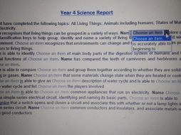 Report comments bank Year 4 all subjects