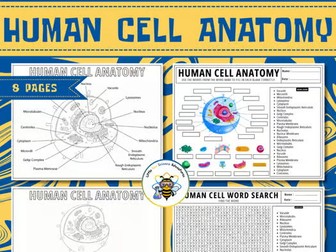 Human Cell Anatomy | Science Labeling Worksheet, Word Search, Coloring, 10 Facts