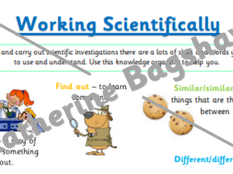 Year 1 Working Scientifically Vocabulary Knowledge Organiser