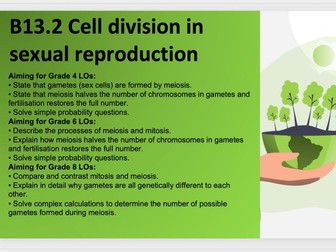 B13.2 Cell division in sexual reproduction