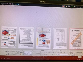 Feb 2020 Data Analysis ONLY (12 marks) FREE