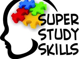 06- Study Skills- Learning Styles Lesson Plans
