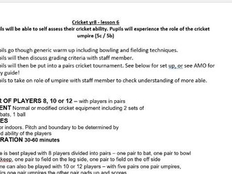 Year 8 Cricket lessons