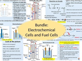 Electrochemical Cells and Fuel Cells Bundle