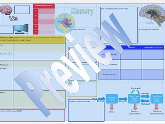 OCR Psychology Memory revision sheet