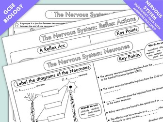 GCSE Biology: The Nervous System Worksheet Pack UPDATED