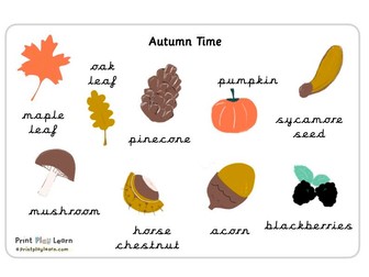 Autumn Themed Word Mat (cursive and Montessori font)