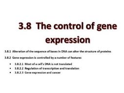 3.8 The control of gene expression