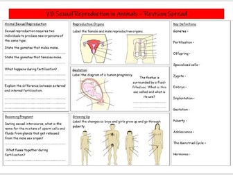 Sexual Reproduction in Animals Revision Spread