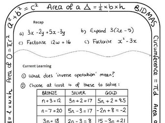 Differentiated Homework Sheets - 20 topics