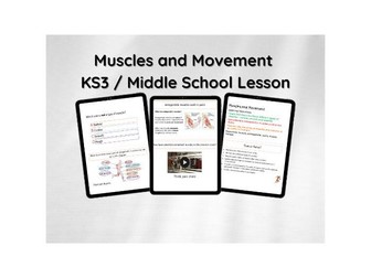 Muscles and Movement KS3 Science lesson