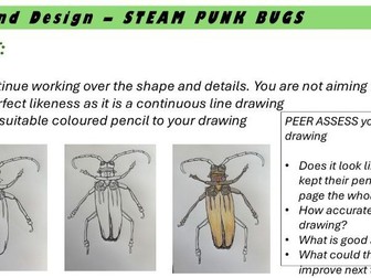 KS3 Bug Unit - Lesson one - Continuous line drawing