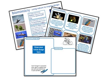 Biomimicry 1 Lesson Design Task