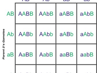 OCR Patterns of inheritance Whole topic