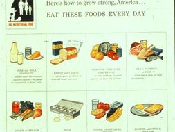History, Importance, and Changes in the Food Pyramid