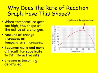 Edexcel CB1 SB1 Enzyme Activity Complete Lesson - GCSE Biology/ Combined Science