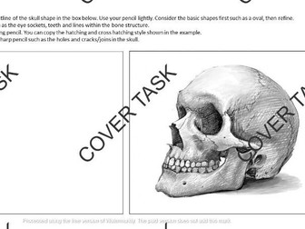 Skull Drawing - Cover Task - Art and Design - Natural Forms