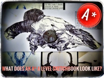Art. A* A Level Art Sketchbook Example