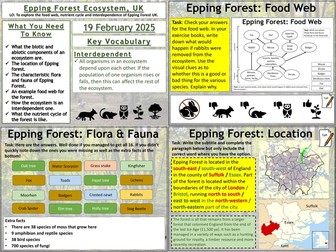 Epping Forest Ecosystem UK