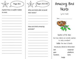 Amazing Bird Nests Trifold Reading Street 3rd Grade Unit